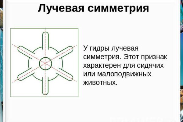 Кракен сайт kr2web in цены