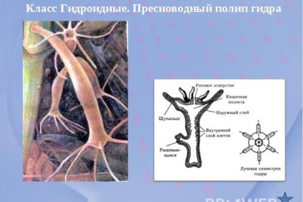 2krn cc официальный