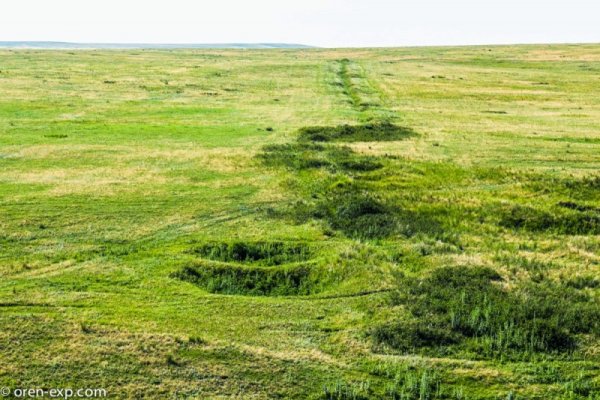 Кракен маркет даркнет только через стор